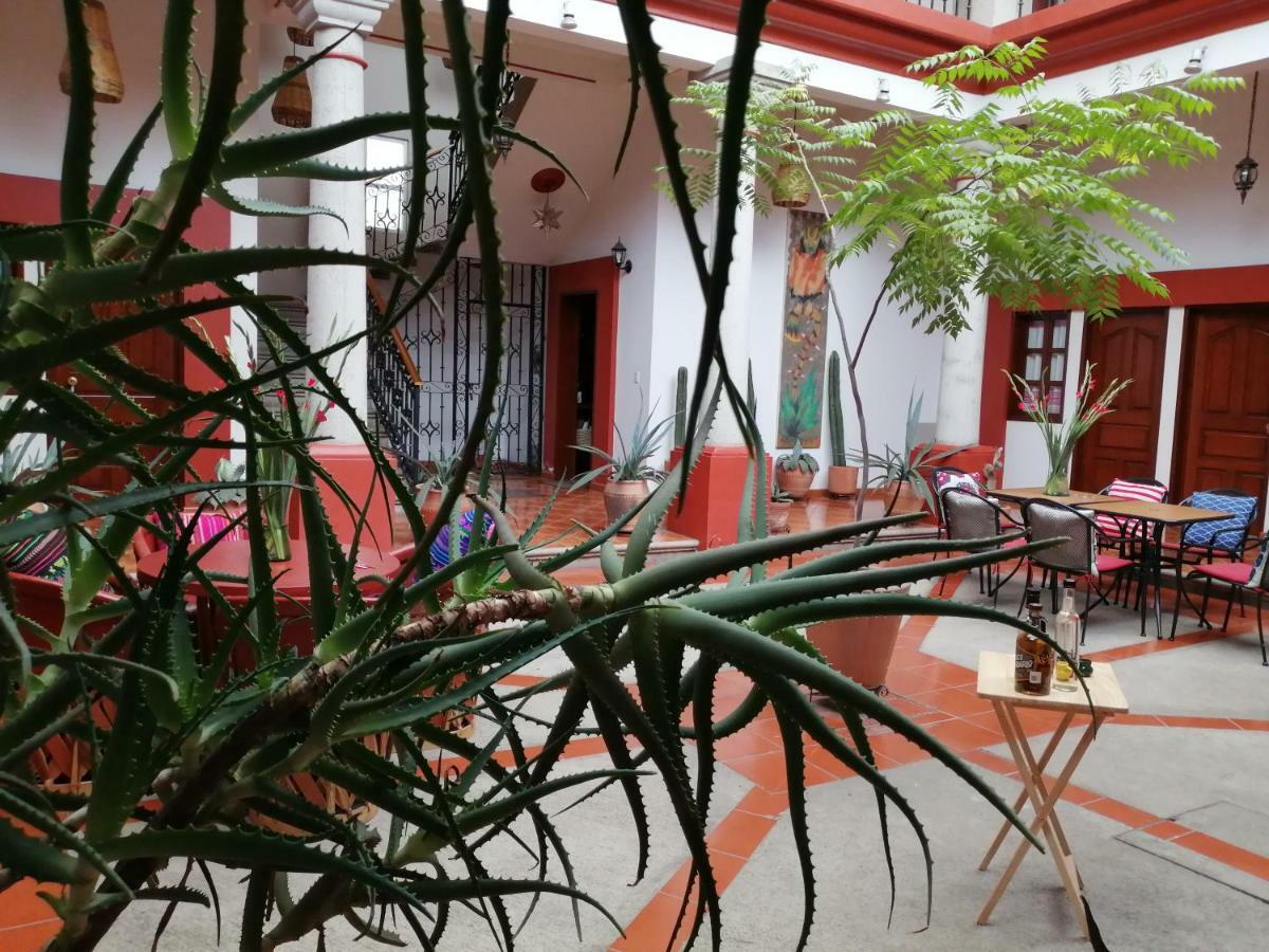 Casa Agave Oaxaca Bed & Breakfast Eksteriør bilde